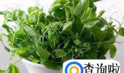 清炒豌豆尖的做法