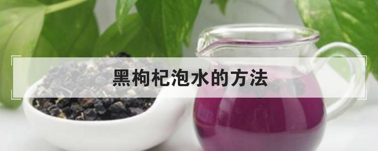 黑枸杞泡水的方法