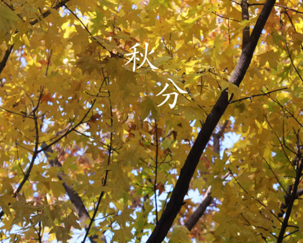 秋分有什么寓意