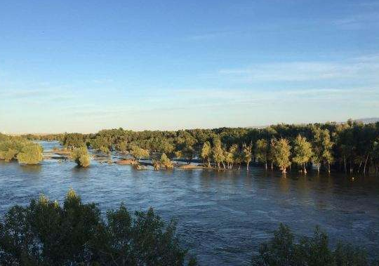 世界上流域面积最大的河