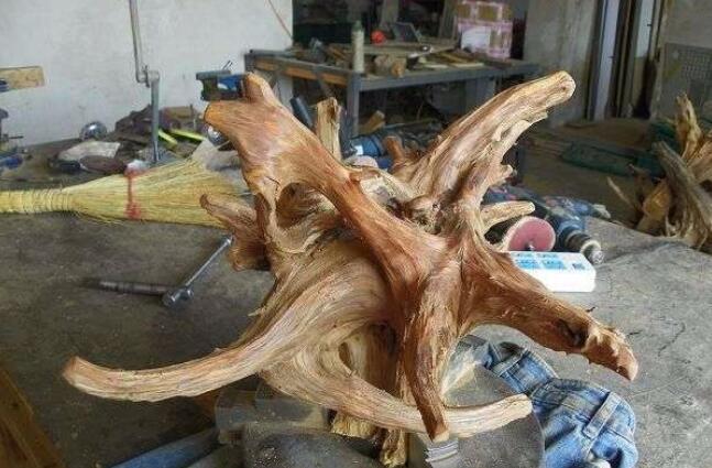 树根抛光最简单的方法