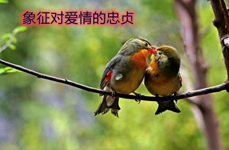 背过手什么意思