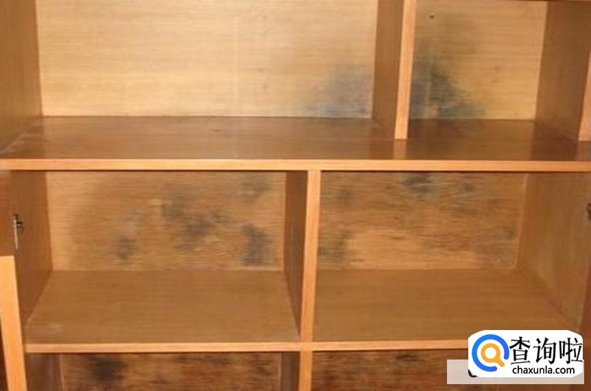 木柜发霉了要怎么办