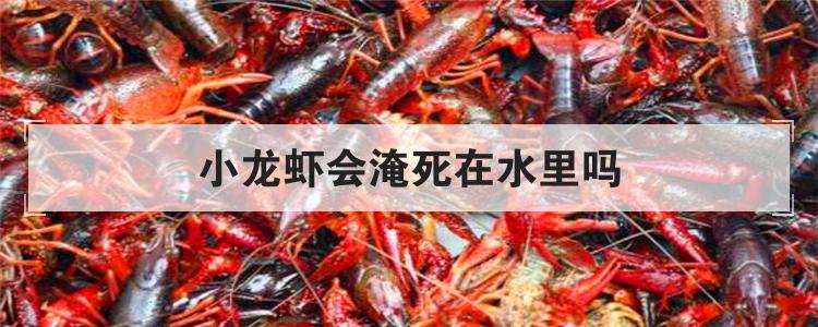 小龙虾会淹死在水里吗
