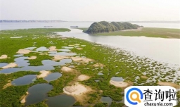 鄱阳湖“解渴”：第一大淡水湖如何避免再历枯劫？