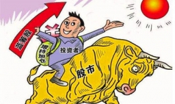 蓝筹股是什么意思