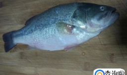 手把手教你在家做清蒸鲈鱼