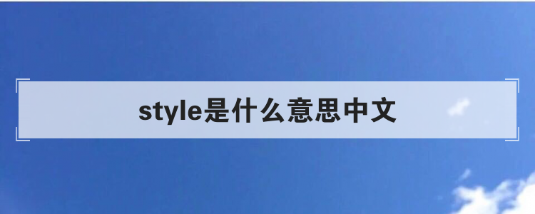 style是什么意思中文