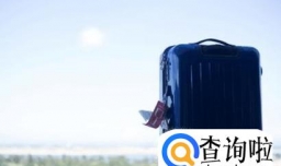 如何选择合适的行李箱