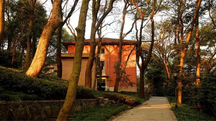 十年树木百年树人什么意思