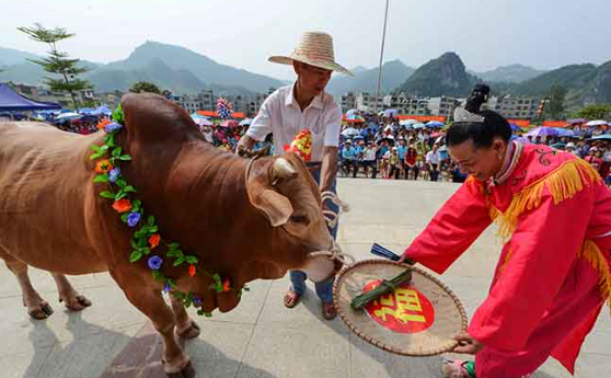 哪个民族不吃牛羊肉