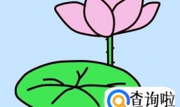 怎么简单画荷花荷叶