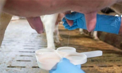 驴奶什么人不能喝