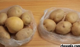 保存蔬菜的方法有哪些