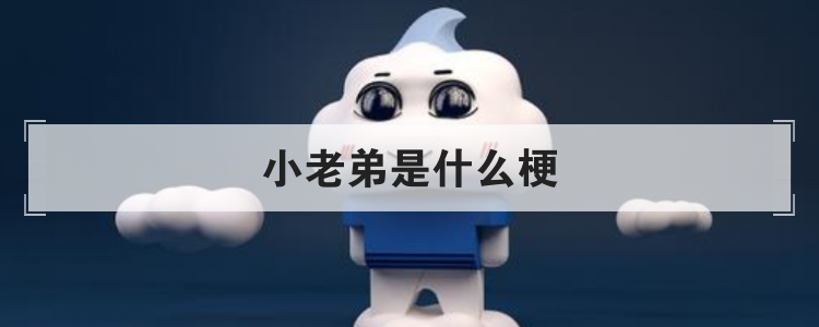 小老弟是什么梗