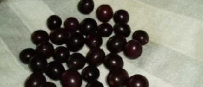 葡萄怎么洗干净