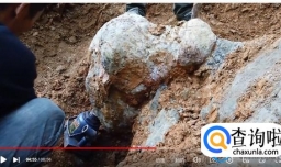 湖南邵阳挖出疑似龙化石？当地回应来了