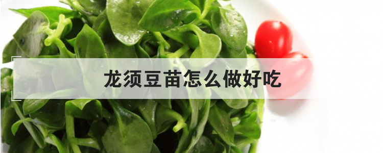 龙须豆苗怎么做好吃