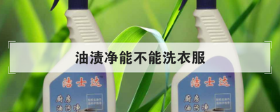 油渍净能不能洗衣服