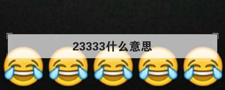 23333什么意思