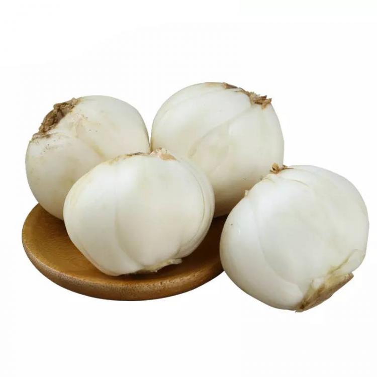 新鲜百合如何长期保存