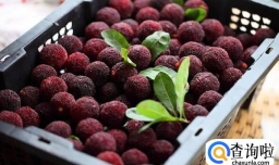 如何自酿野生杨梅酒的做法