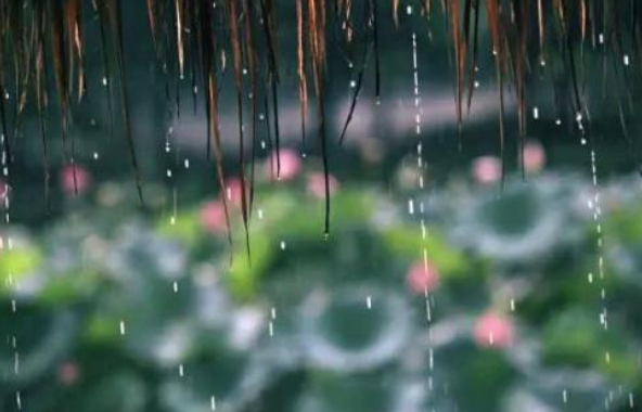 梅雨期的特点