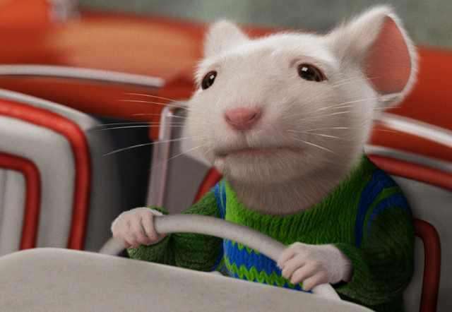 鸡毛蒜皮的动物是什么生肖