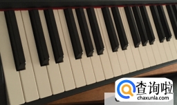 电钢琴和钢琴有什么区别