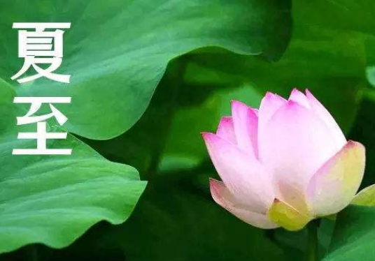 立夏和夏至有什么区别