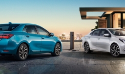 天津区域牌照和正常牌照怎么区分？