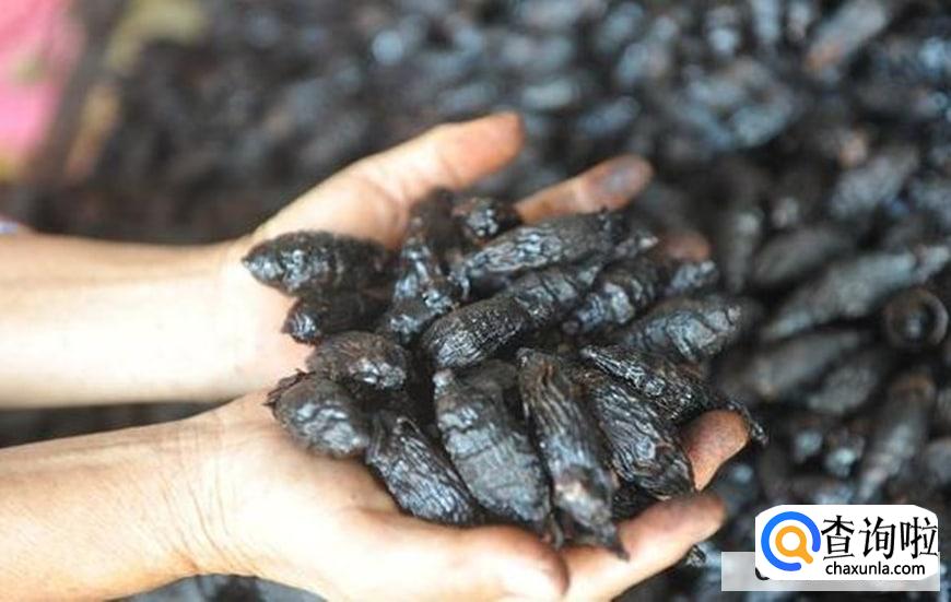 嚼槟榔该怎么戒掉