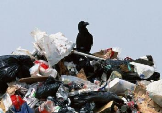 白色污染的危害