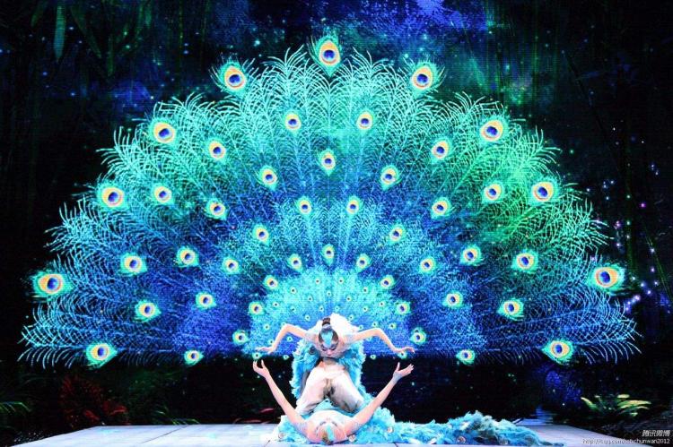 孔雀舞是哪个民族的舞蹈