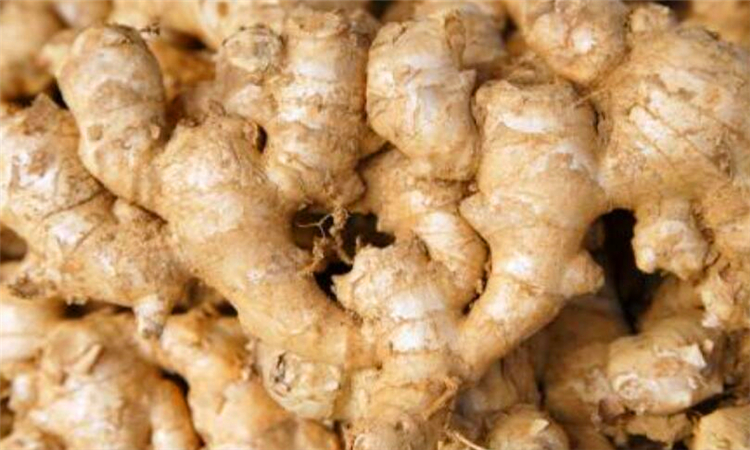 姜晒绿了可以吃吗