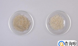 如何煮一碗好吃的白粥？