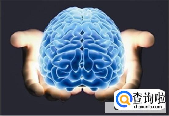 为什么大脑长期沉浸幻想