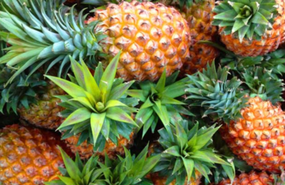 孕妇可以吃菠萝吗