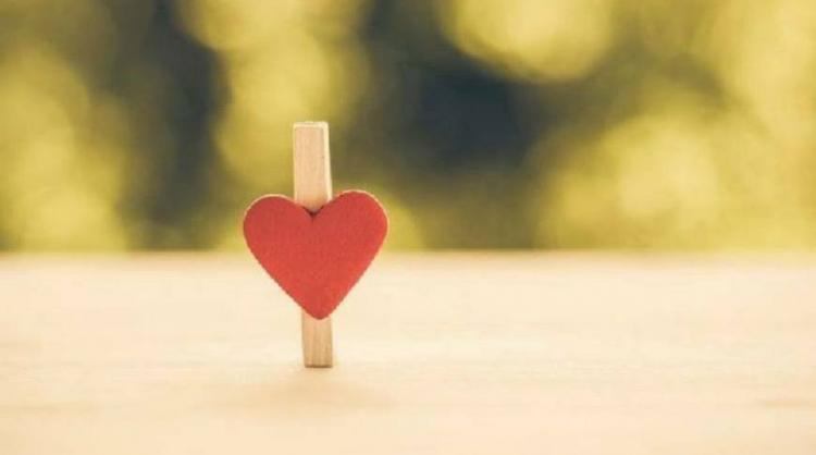 爱情是什么样子的