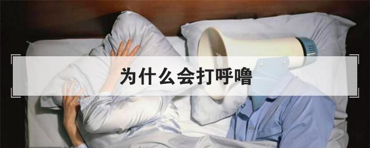为什么会打呼噜