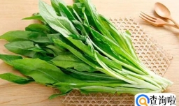 油麦菜有哪些功效