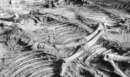 为什么要考古 考古给我们带来了什么