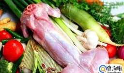 兔子肉怎么炖好吃