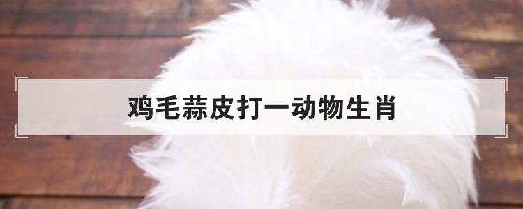 鸡毛蒜皮打一动物生肖
