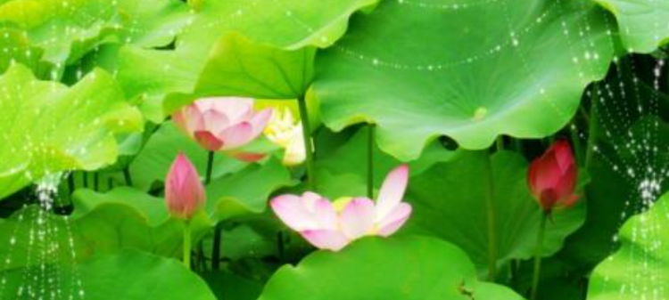 举世无双是什么意思