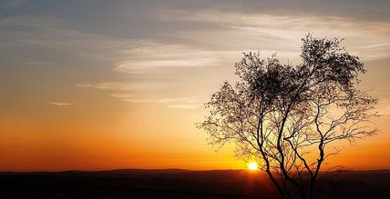荏苒是什么意思
