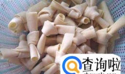 学会怎么打百叶结？简单易懂