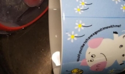 怎样自制柠檬味酸奶？