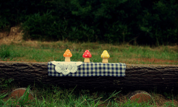 只言片语是什么意思