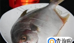 小晶鱼做法——美味红烧小晶鱼